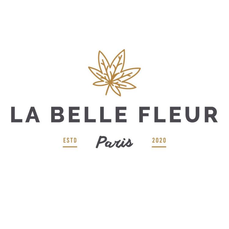 Logo du point de vente La Belle Fleur CBD à Orléans Logo du point de vente La Belle Fleur CBD à Orléans