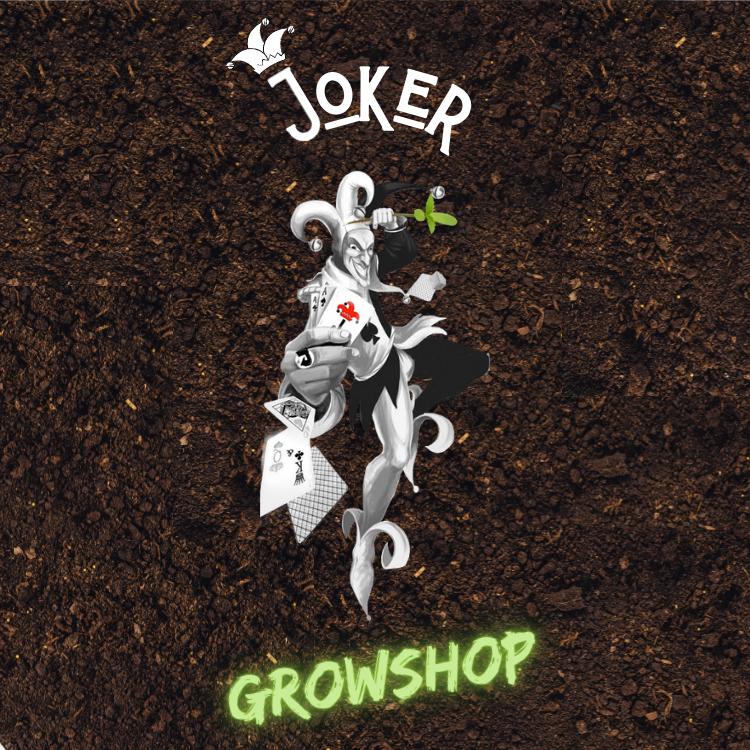 Logo du point de vente Joker Growshop à Brignoles Logo du point de vente Joker Growshop à Brignoles