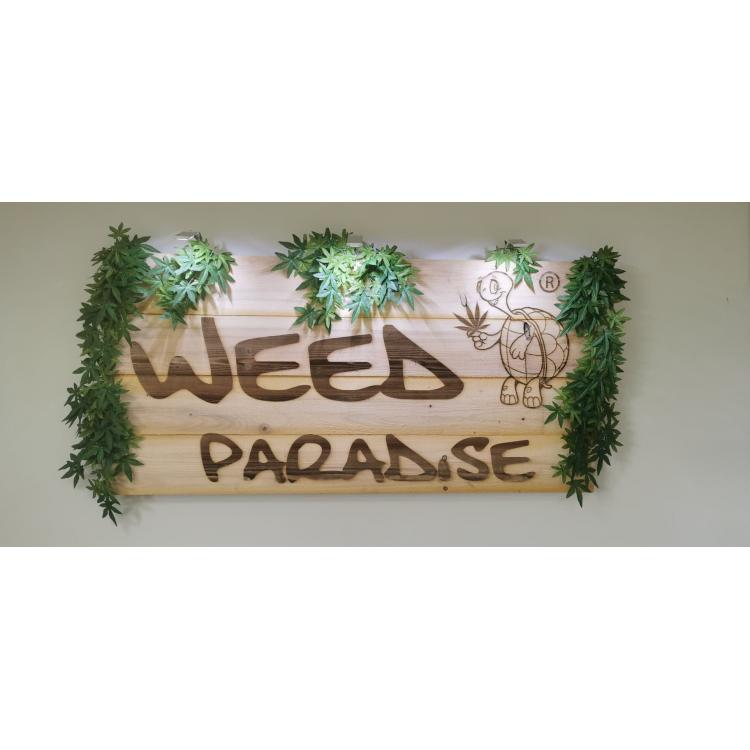 Logo du point de vente WEED PARADISE à Roche-lez-Beaupré Logo du point de vente WEED PARADISE à Roche-lez-Beaupré