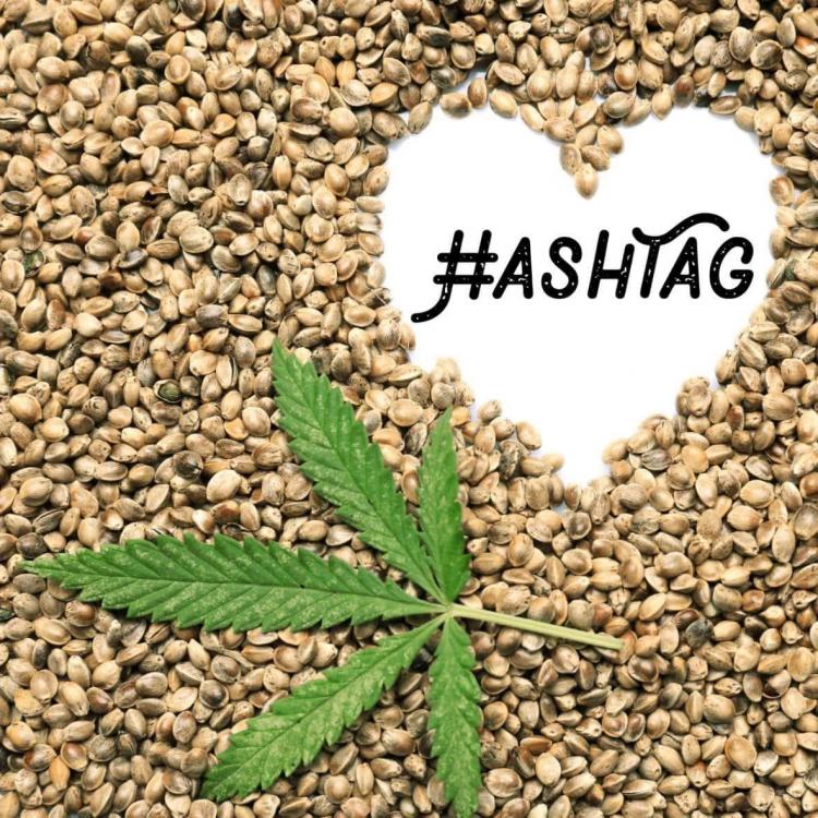 Logo du point de vente Hashtag CBD Products à La Louvière Logo du point de vente Hashtag CBD Products à La Louvière