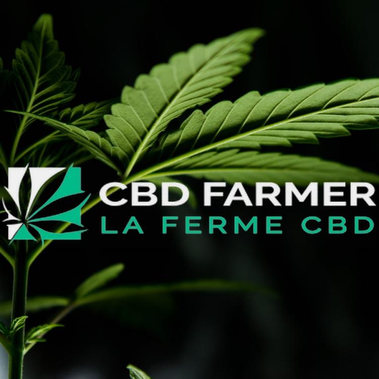 Logo du point de vente CBD FARMER à Bordeaux Logo du point de vente CBD FARMER à Bordeaux