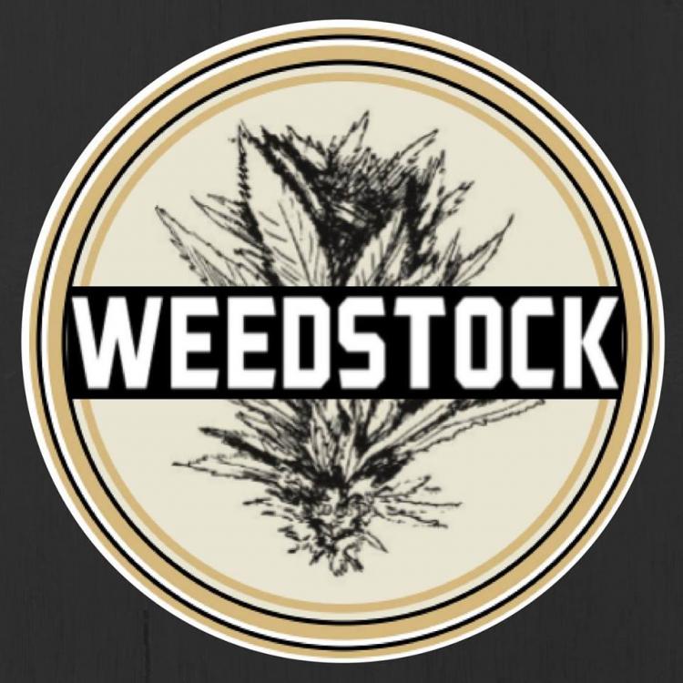 WeedStock, magasin de CBD à Longwy Canna.Buzz