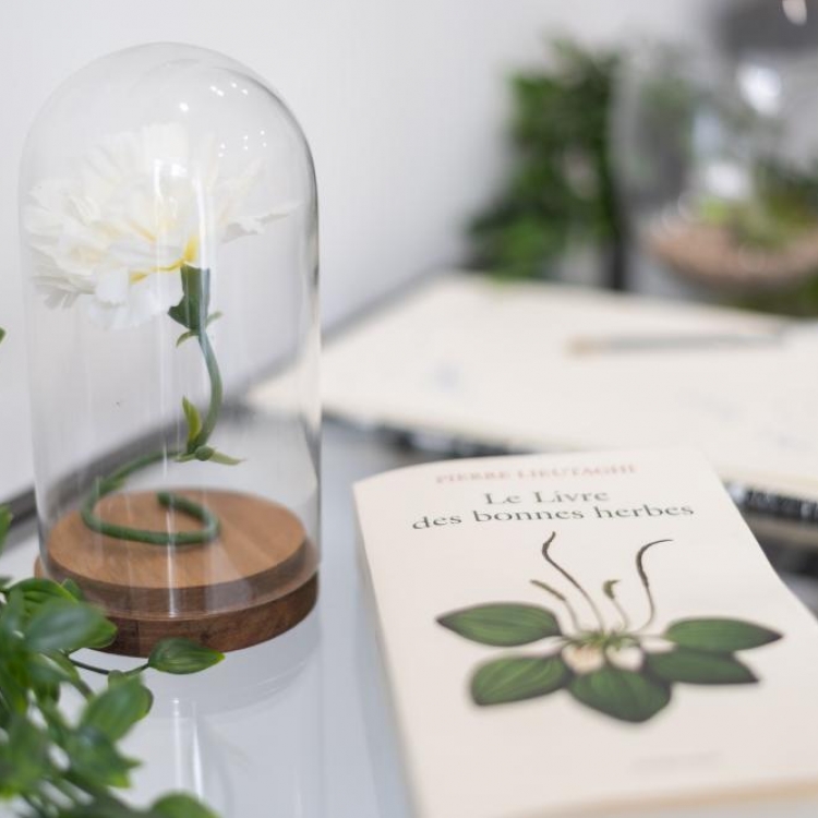 Photo du magasin 1001 Herbes à Marseille