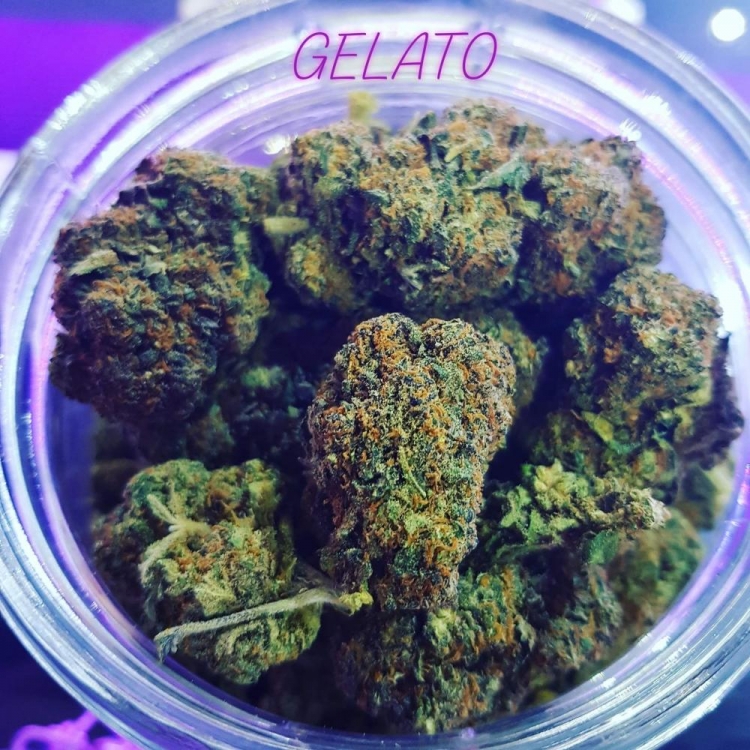 Photo du magasin CBD Queen à Nice