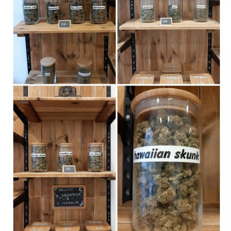 Photo du magasin CBD Le Havre - LH CBD à Le Havre Photo du magasin CBD Le Havre - LH CBD à Le Havre