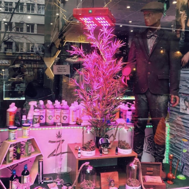 Photo du magasin Zamân CBD Shop à Neuchâtel