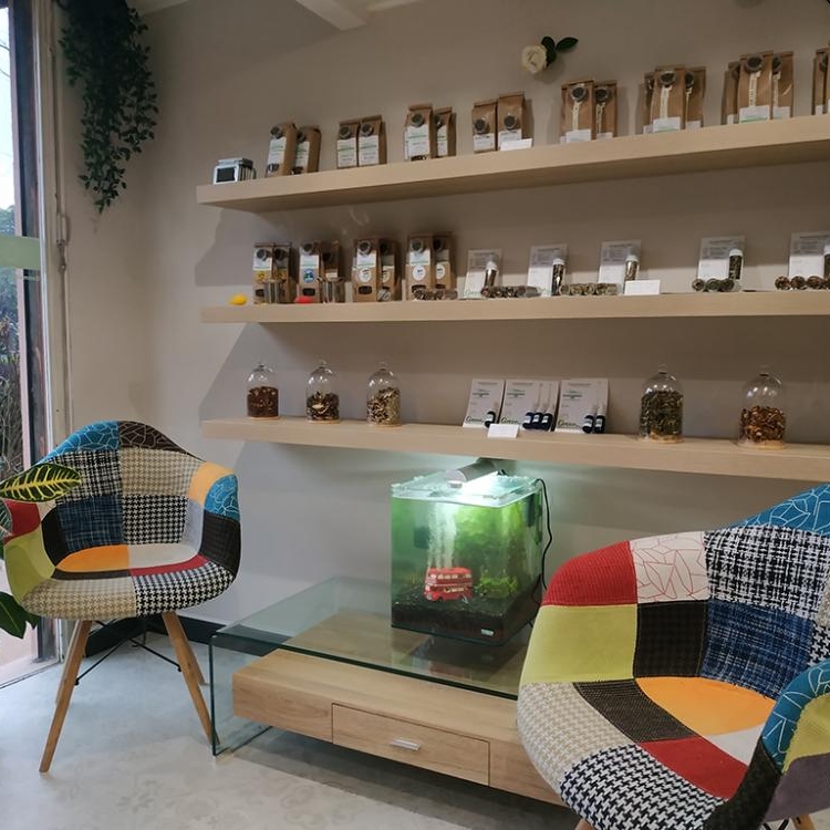 Photo du magasin GreenDream à Toulon Photo du magasin GreenDream à Toulon