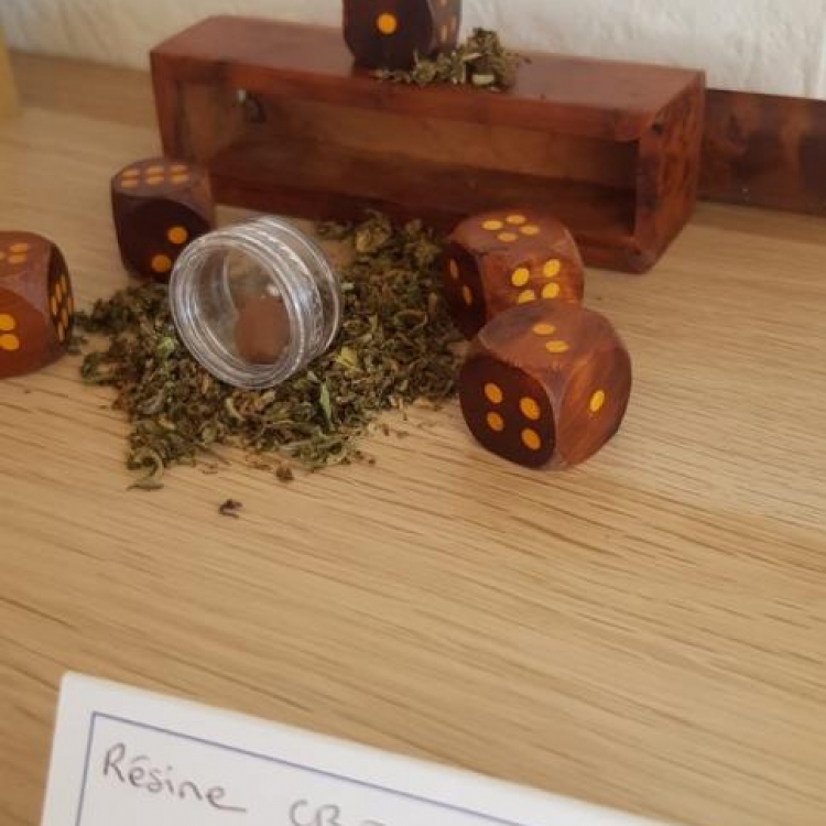 Photo du magasin GreenDream à Toulon Photo du magasin GreenDream à Toulon