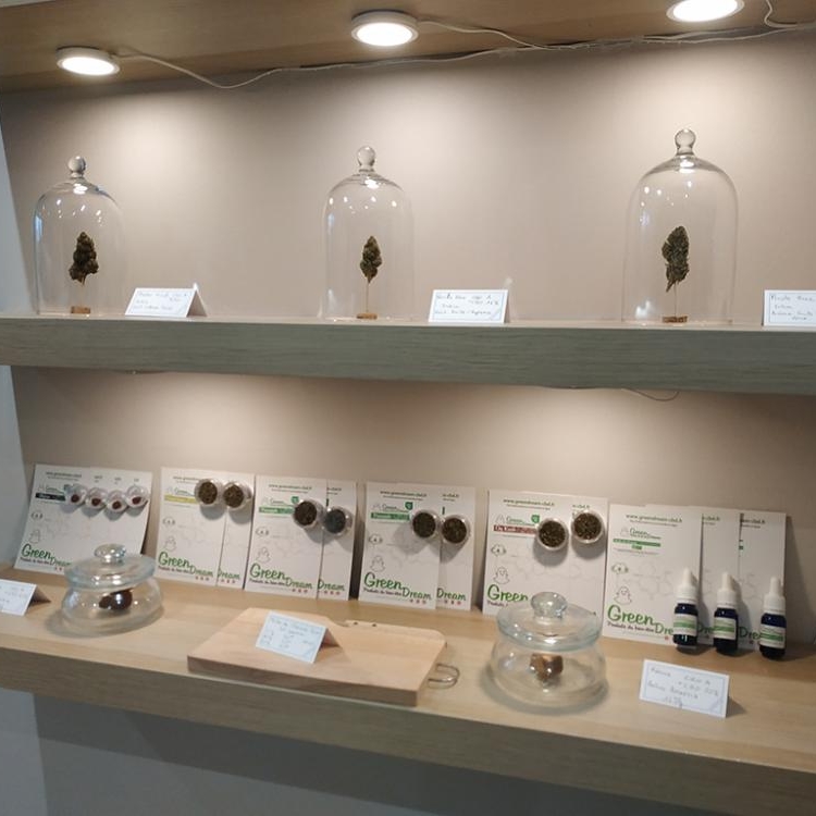 Photo du magasin GreenDream à Toulon Photo du magasin GreenDream à Toulon