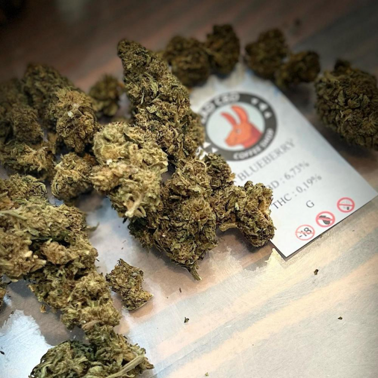 Photo du magasin ZAD CBD à Caen Photo du magasin ZAD CBD à Caen