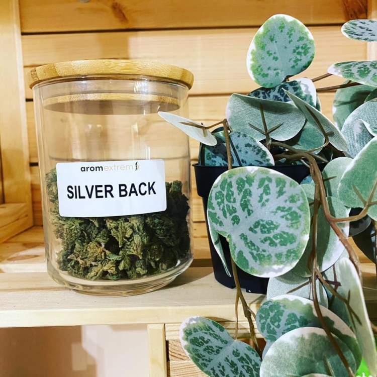 Photo du magasin Aromextrem à Compiègne