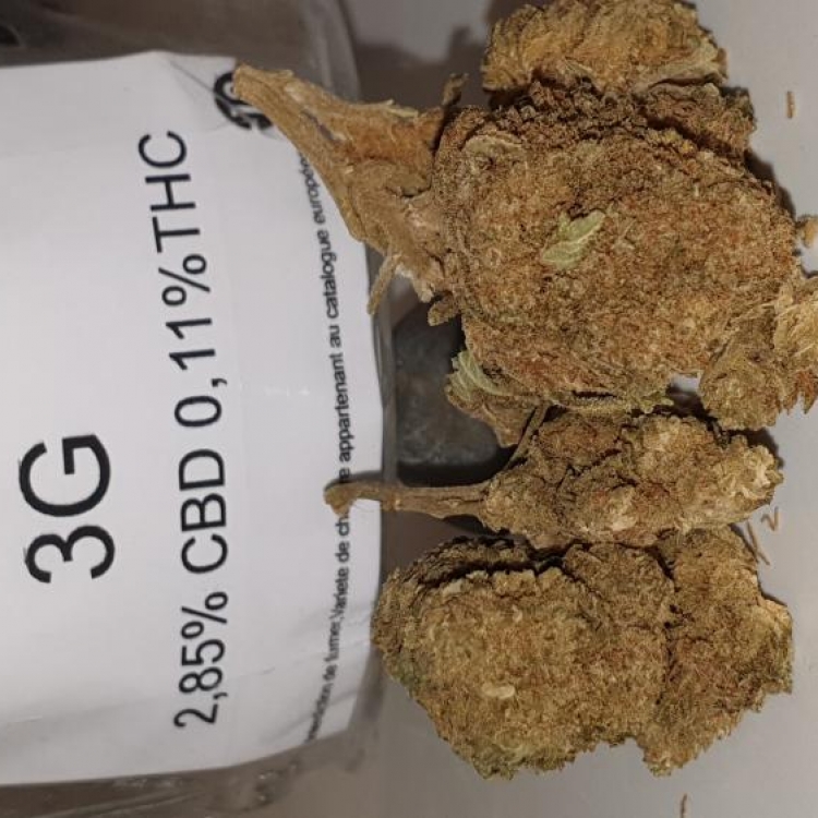 Photo du magasin Zenshop CBD bio à Paris Photo du magasin Zenshop CBD bio à Paris