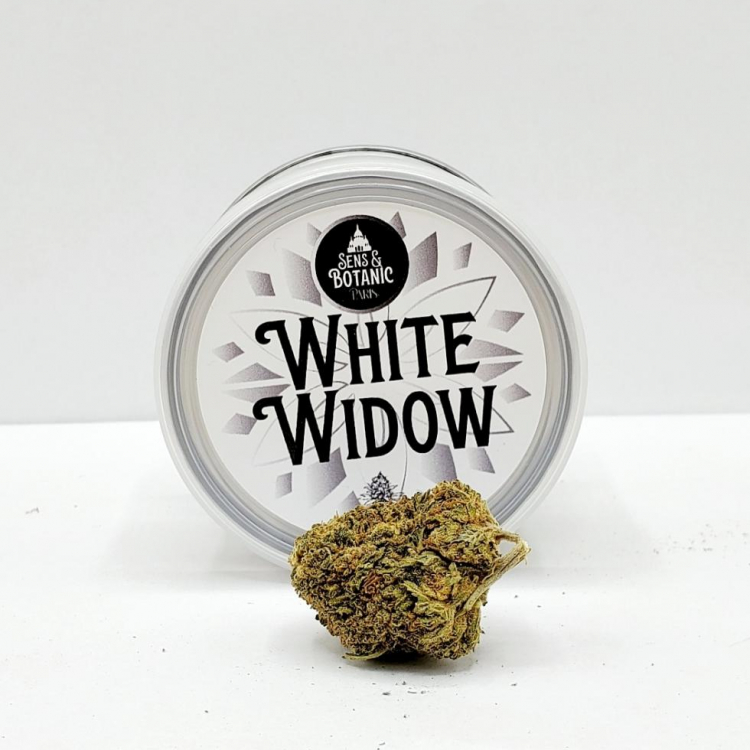 Photo du magasin Sens & Botanic à Paris Photo du magasin Sens & Botanic à Paris