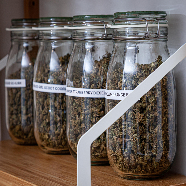 Photo du magasin Origine CBD à Paris Photo du magasin Origine CBD à Paris