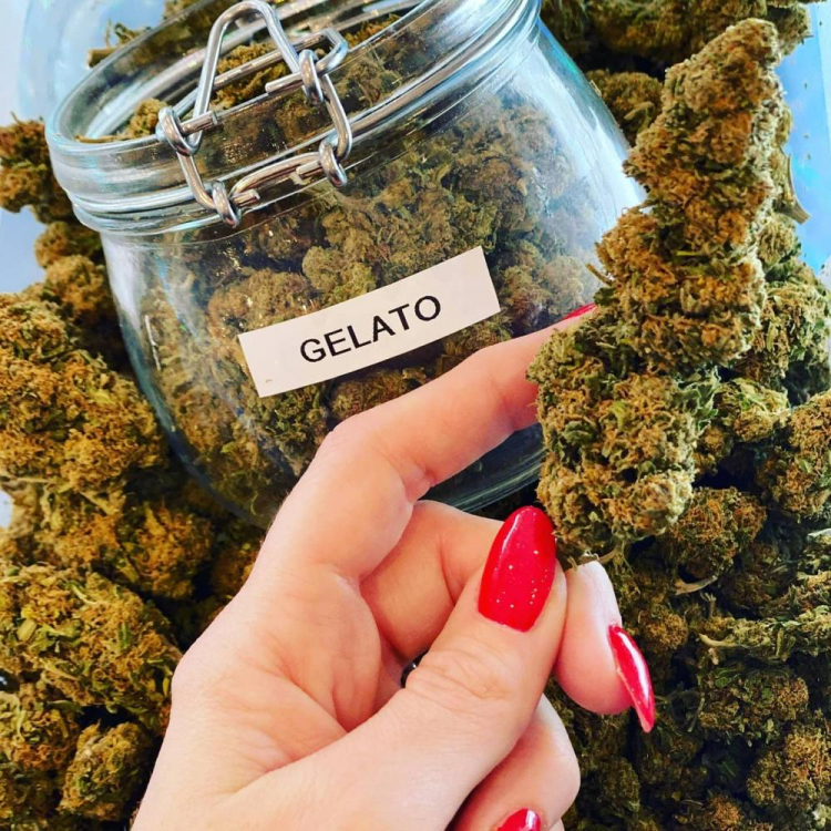 Photo du magasin CBD STARDAWG FREJUS à Fréjus Photo du magasin CBD STARDAWG FREJUS à Fréjus