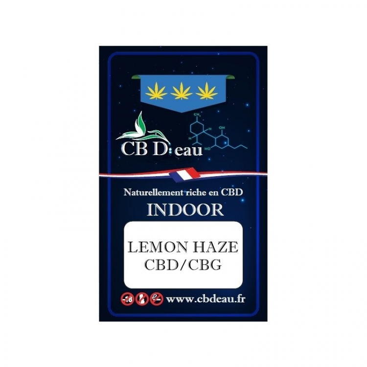 Photo du magasin CBD Photo du magasin CBD