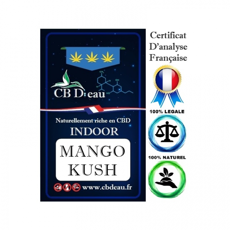 Photo du magasin CBD Photo du magasin CBD