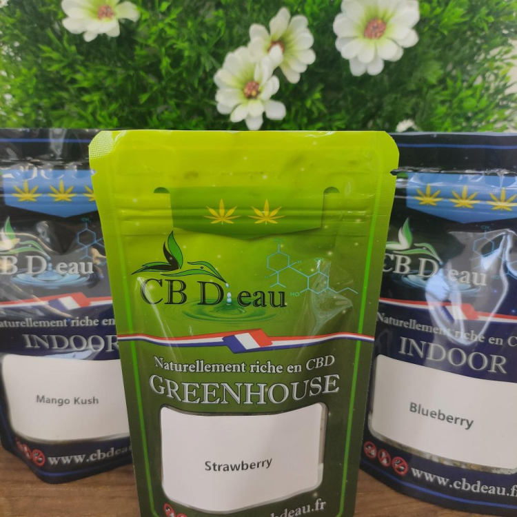 Photo du magasin CBD Photo du magasin CBD