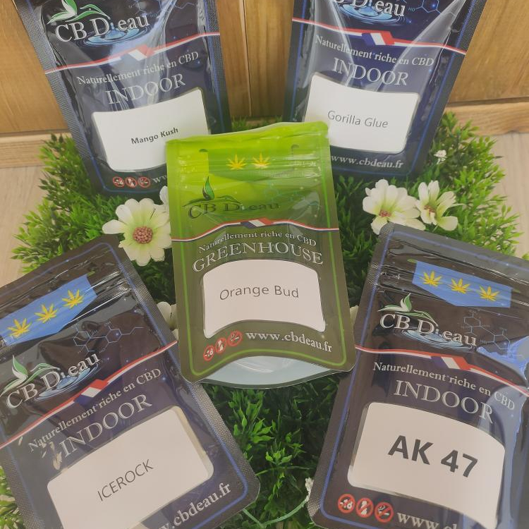 Photo du magasin CBD Photo du magasin CBD