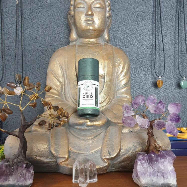 Photo du magasin Zenitude à Lorgues Photo du magasin Zenitude à Lorgues