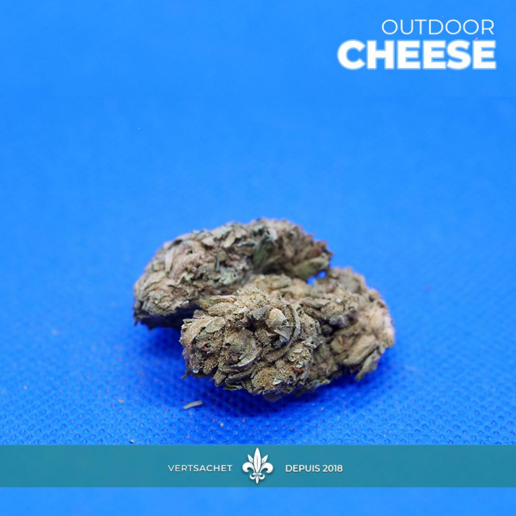 Photo du magasin VERTSACHET SHOP à Caen