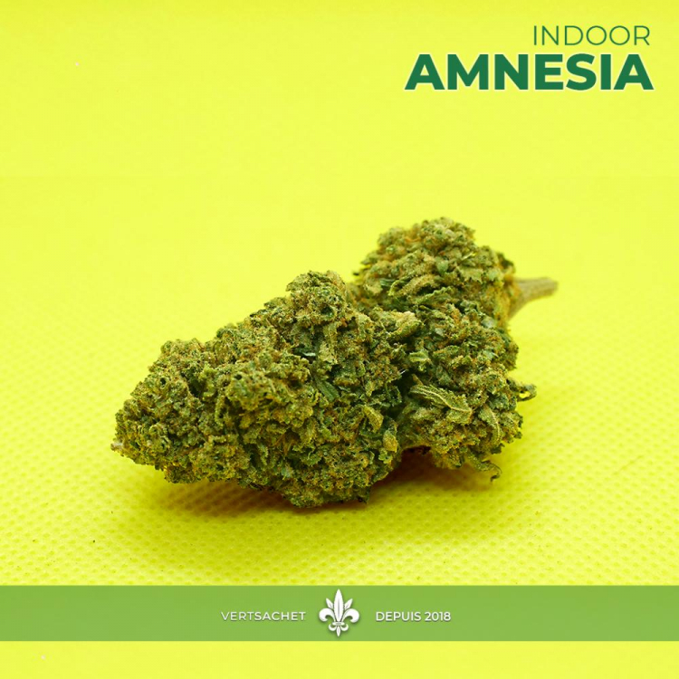 Photo du magasin VERTSACHET SHOP à Caen