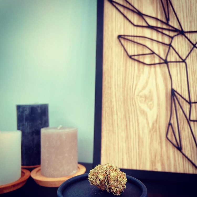 Photo du magasin Hemp Counter à Beauvais Photo du magasin Hemp Counter à Beauvais