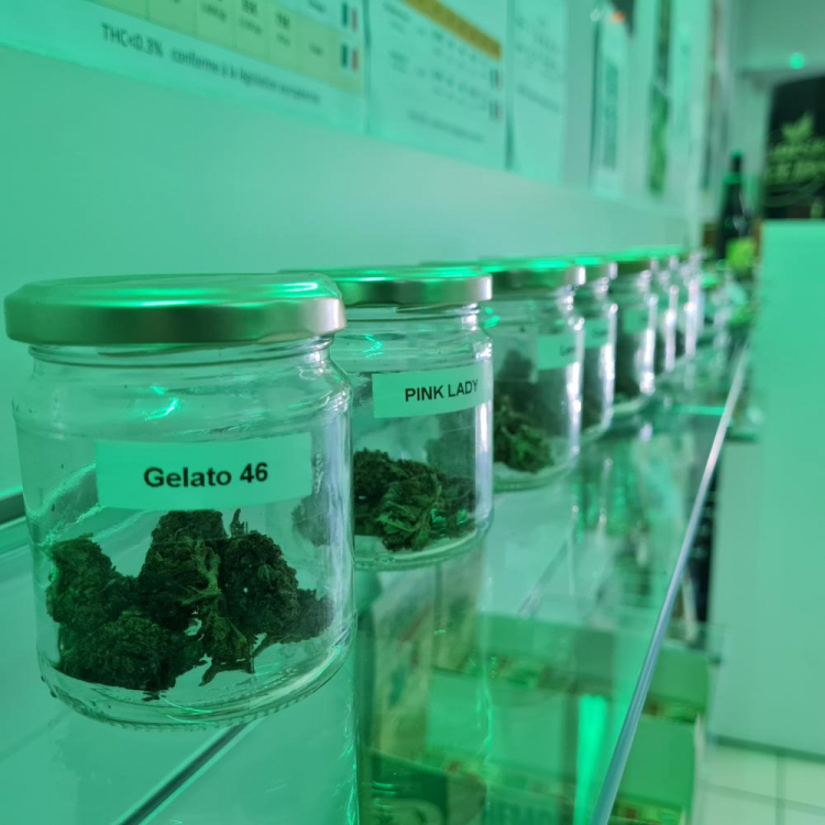 Photo du magasin Smoke and Seeds à Albi Photo du magasin Smoke and Seeds à Albi