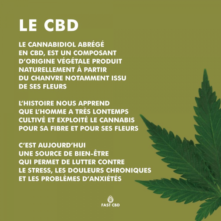 Photo du magasin Fast CBD Shop Paris à Paris Photo du magasin Fast CBD Shop Paris à Paris