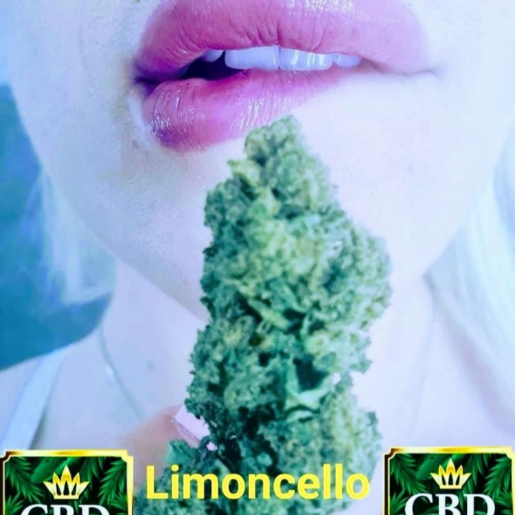 Photo du magasin CBD STARDAWG Cagnes sur Mer à Cagnes-sur-Mer