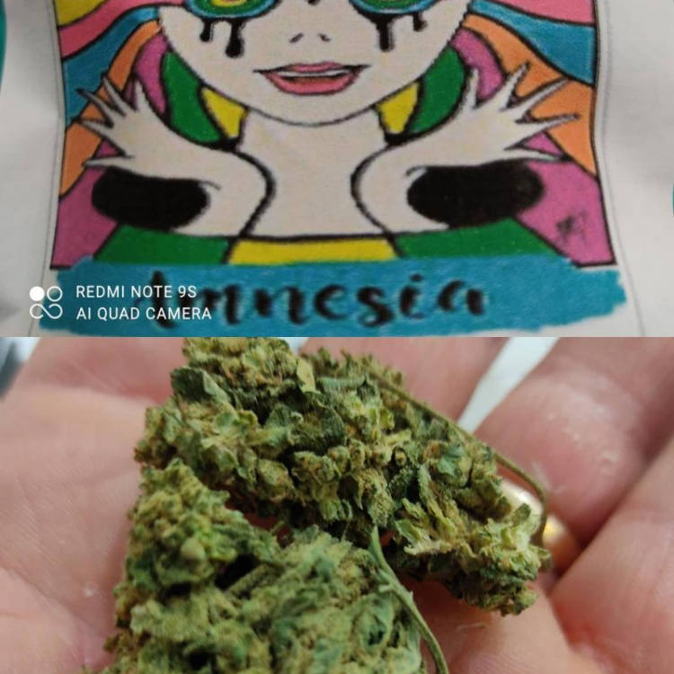 Photo du magasin Graines et bien-être à Belfort