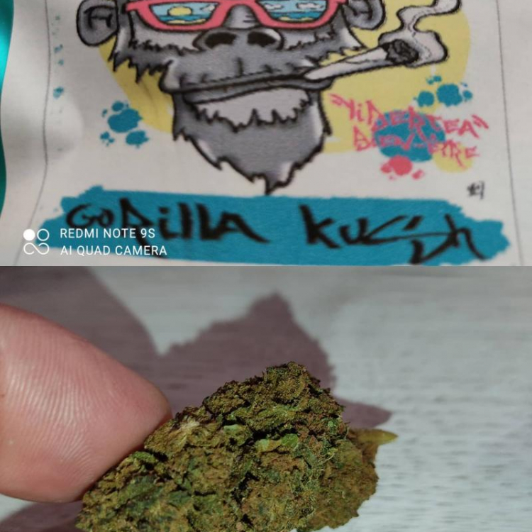 Photo du magasin Graines et bien-être à Belfort