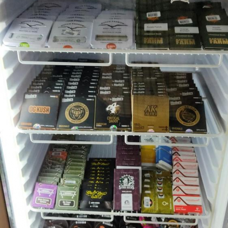 Photo du magasin Graines et bien-être à Belfort