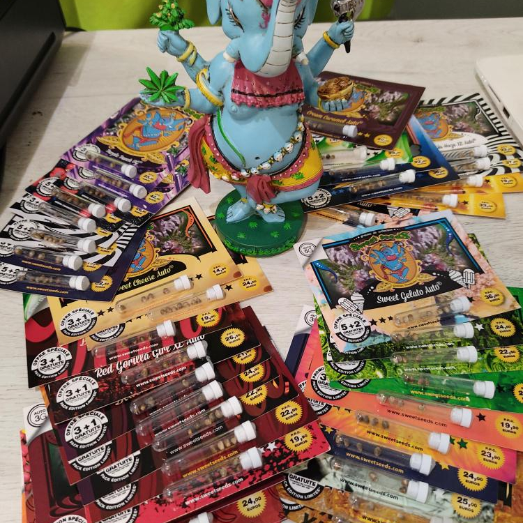 Photo du magasin Graines et bien-être à Belfort