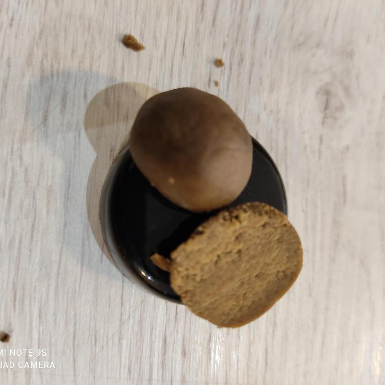 Photo du magasin Graines et bien-être à Belfort