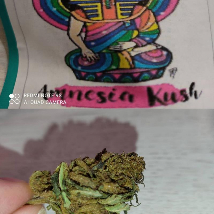 Photo du magasin Graines et bien-être à Belfort