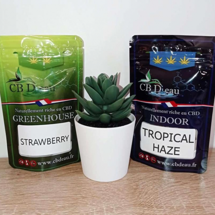 Photo du magasin CBD