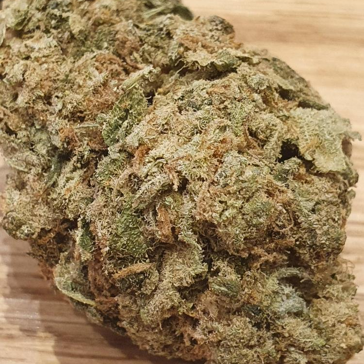 Photo du magasin LV Nature à Roanne