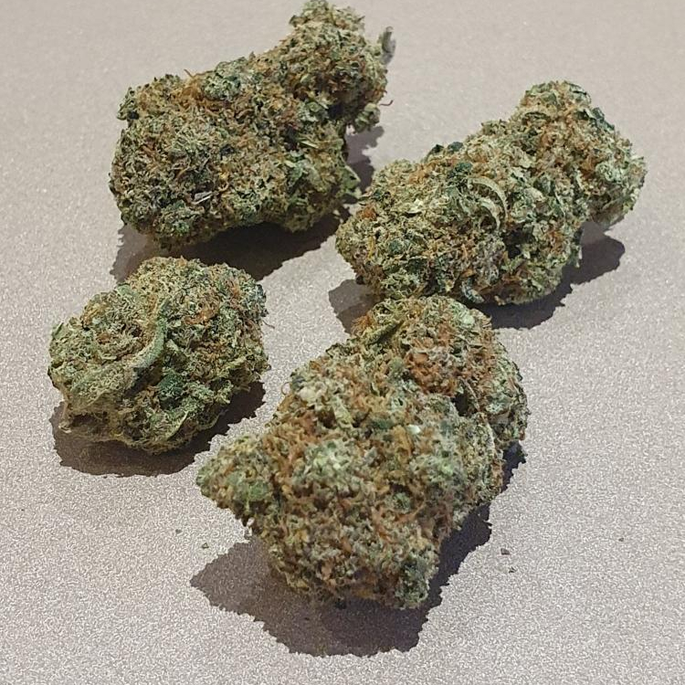 Photo du magasin LV Nature à Roanne