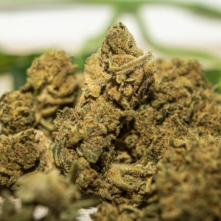 Photo du magasin Minoumaw