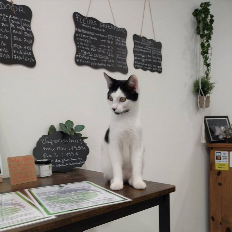 Photo du magasin Minoumaw