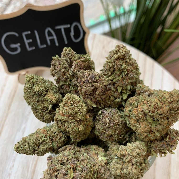 Photo du magasin CBD EVASION - DRAGUIGNAN à Draguignan Photo du magasin CBD EVASION - DRAGUIGNAN à Draguignan