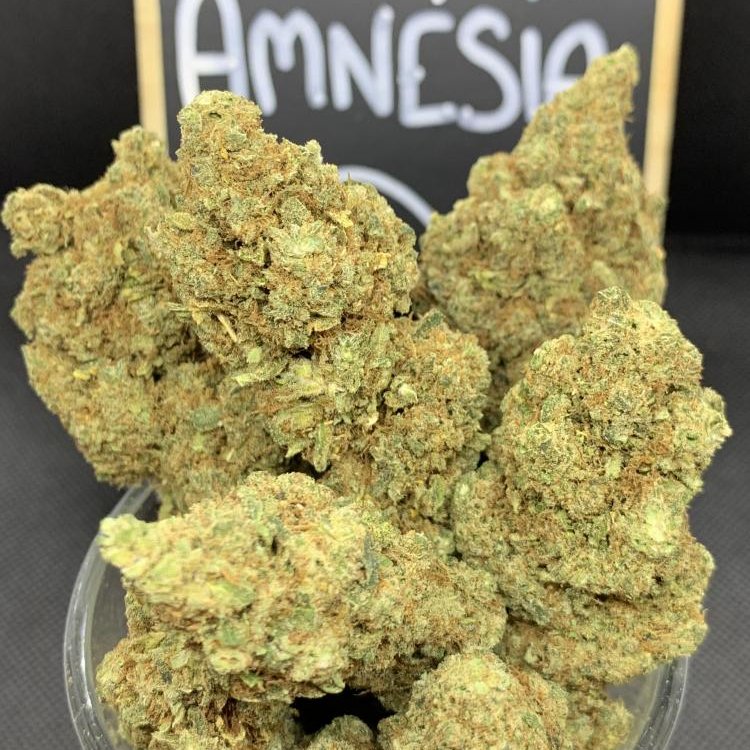 Photo du magasin CBD EVASION - DRAGUIGNAN à Draguignan Photo du magasin CBD EVASION - DRAGUIGNAN à Draguignan