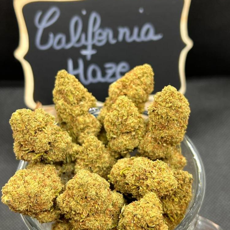 Photo du magasin CBD EVASION - DRAGUIGNAN à Draguignan Photo du magasin CBD EVASION - DRAGUIGNAN à Draguignan