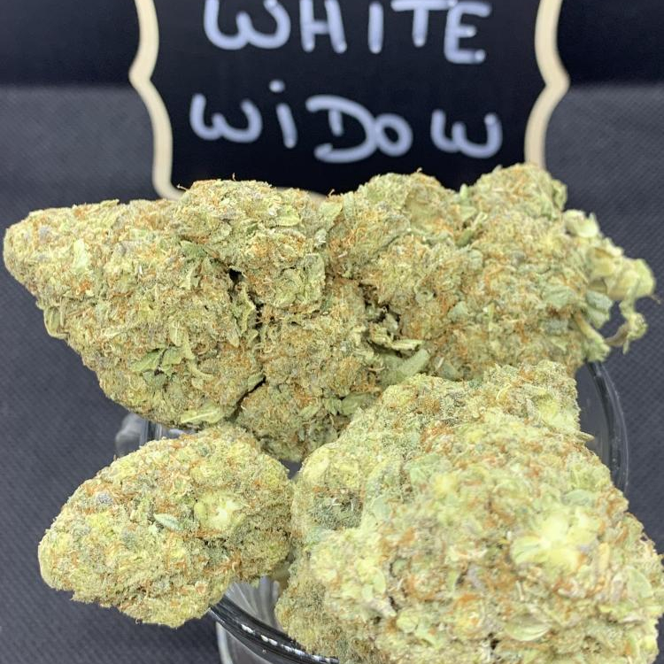 Photo du magasin CBD EVASION - DRAGUIGNAN à Draguignan Photo du magasin CBD EVASION - DRAGUIGNAN à Draguignan