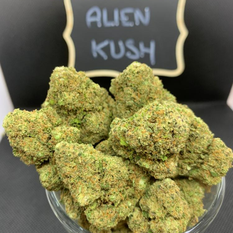 Photo du magasin CBD EVASION à Fréjus Photo du magasin CBD EVASION à Fréjus