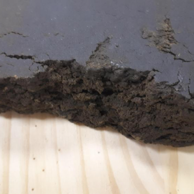 Photo du magasin ZAD les sables-d Photo du magasin ZAD les sables-d