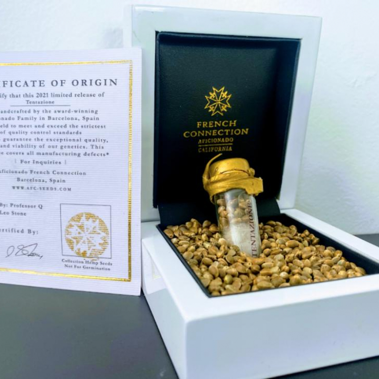 Photo du magasin ANONYM Seeds - Graines de CBD Cannabis & Collect à Nîmes Photo du magasin ANONYM Seeds - Graines de CBD Cannabis & Collect à Nîmes