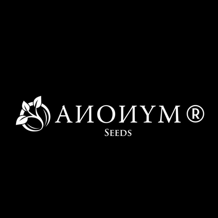 Photo du magasin ANONYM Seeds - Graines de CBD Cannabis & Collect à Nîmes Photo du magasin ANONYM Seeds - Graines de CBD Cannabis & Collect à Nîmes