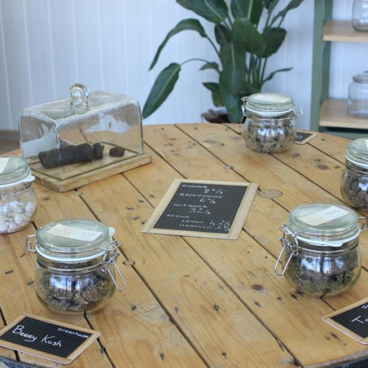 Photo du magasin Seven CBD à Saint-Gilles-Croix-de-Vie Photo du magasin Seven CBD à Saint-Gilles-Croix-de-Vie